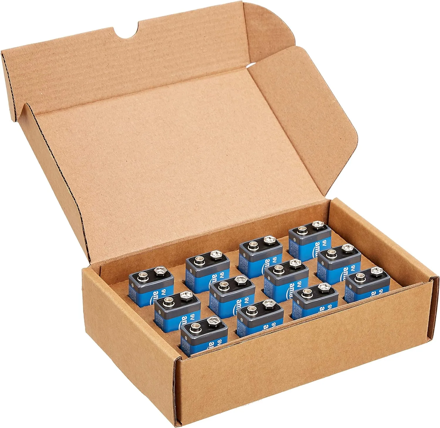 Amazon Basics 12-Pack 9 Volt Lithium High-Performance Batteries with 10-Year Shelf Life, and Long Lasting Power