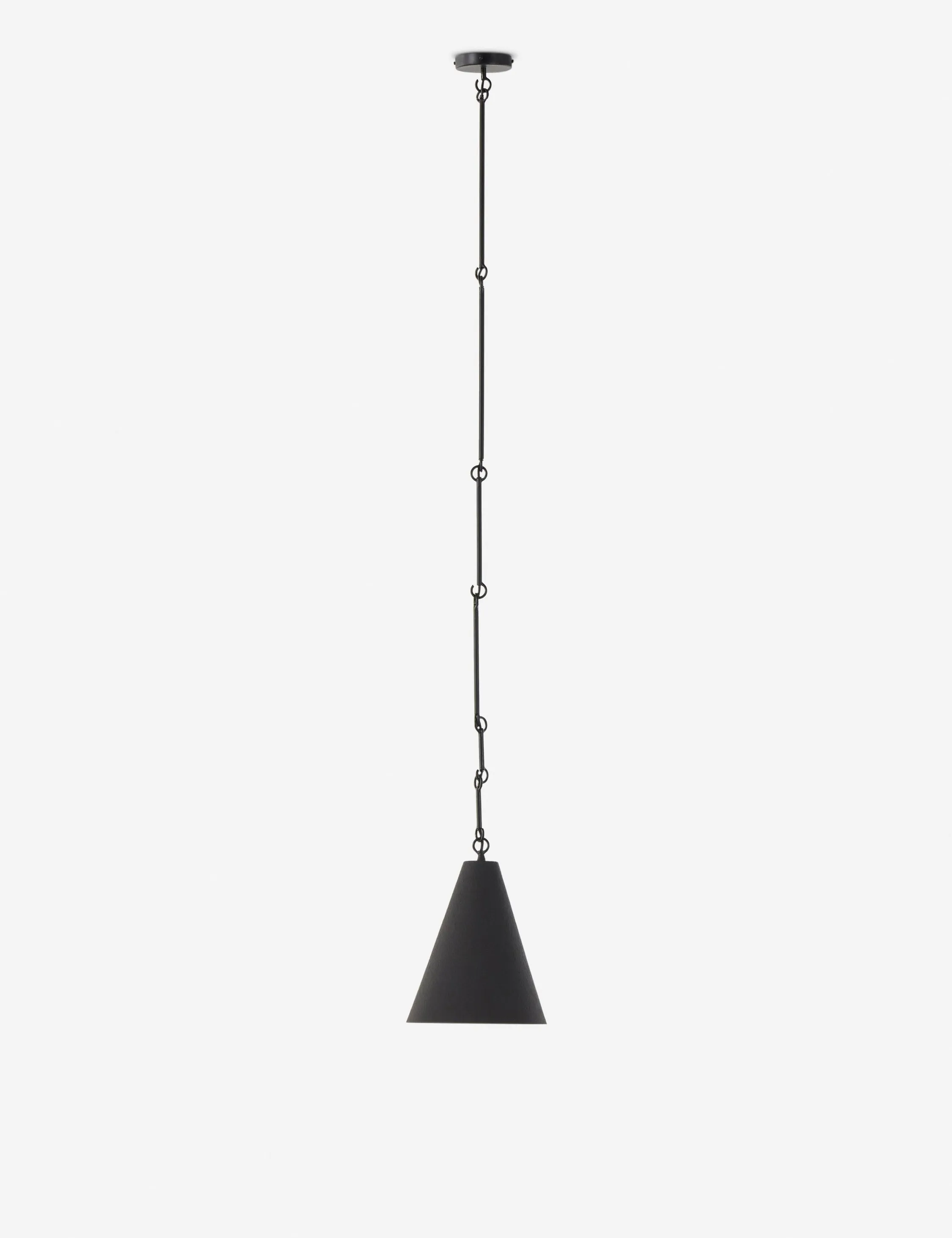 Ashwin Pendant Light