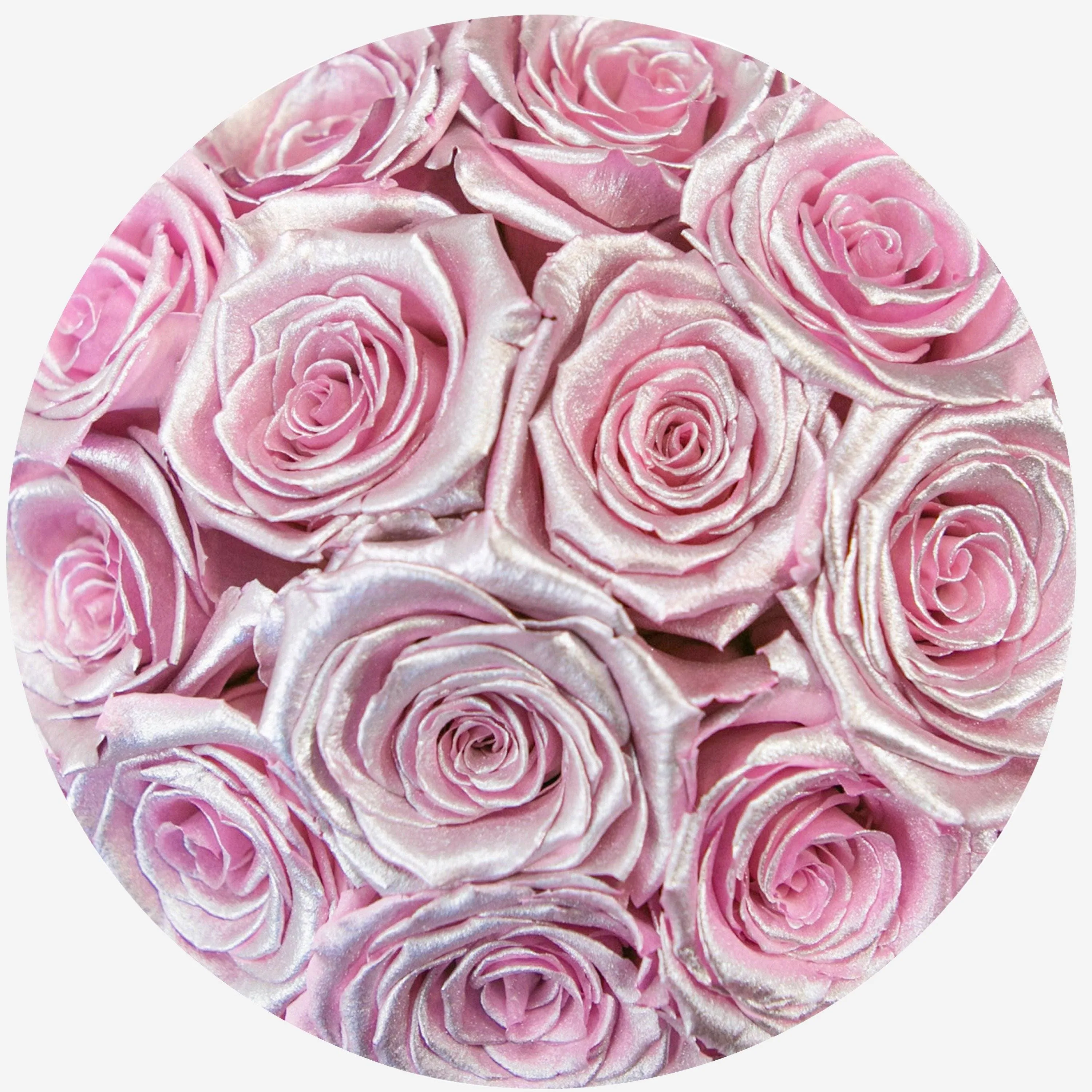 Classic Light Pink Suede Dome Box | Pink Gold Roses