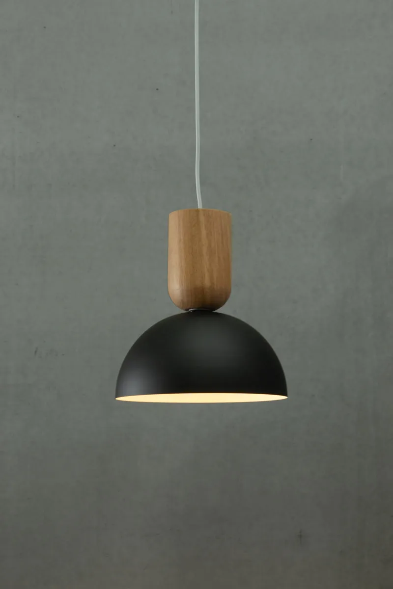 Dome Nord Pendant Light