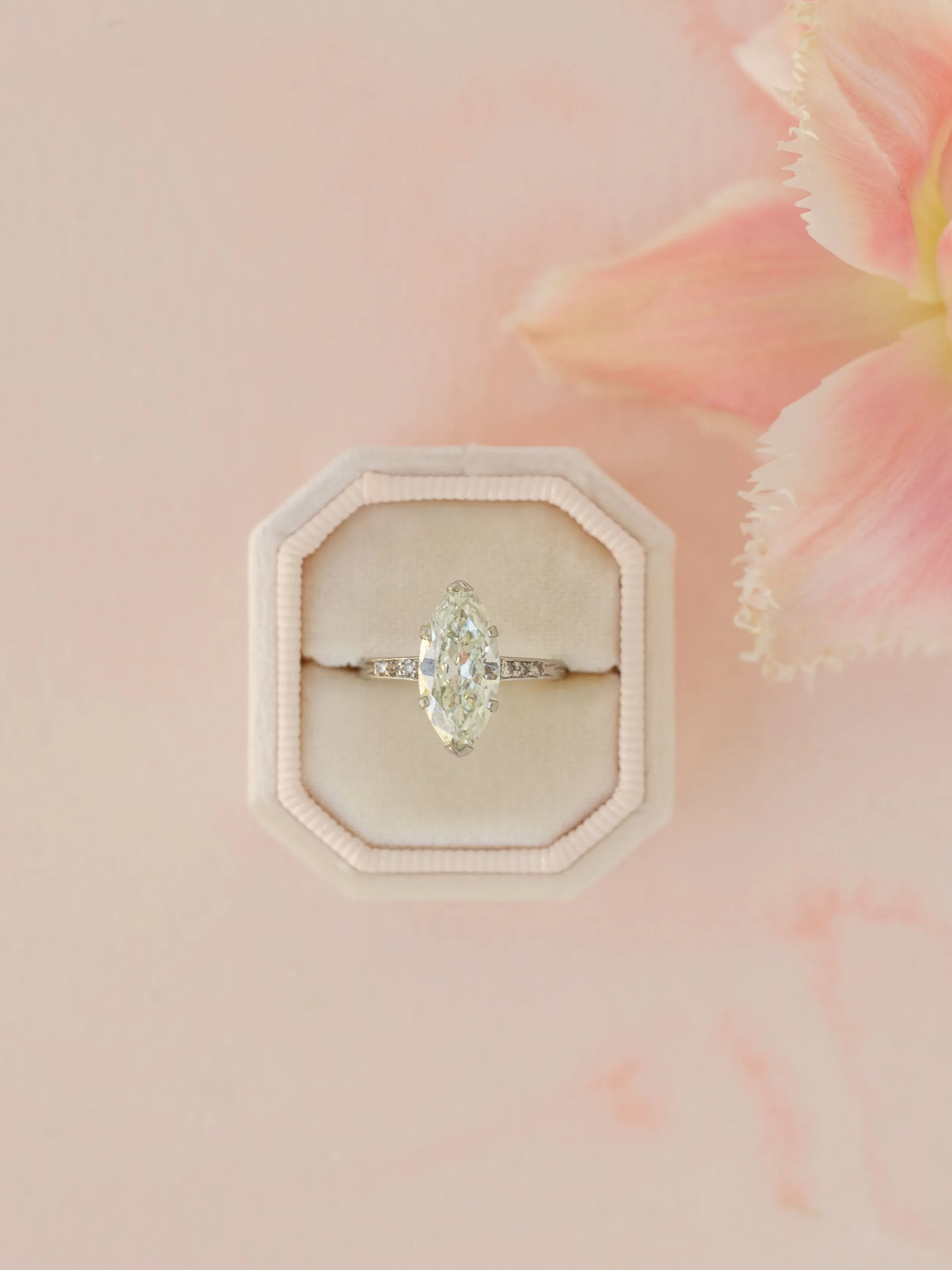 The Antonia Bevel Double